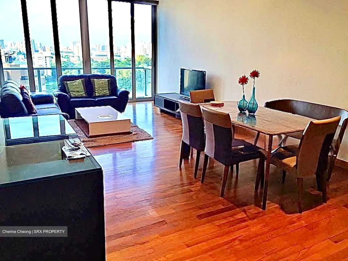 Cairnhill Crest (D9), Condominium #574920881